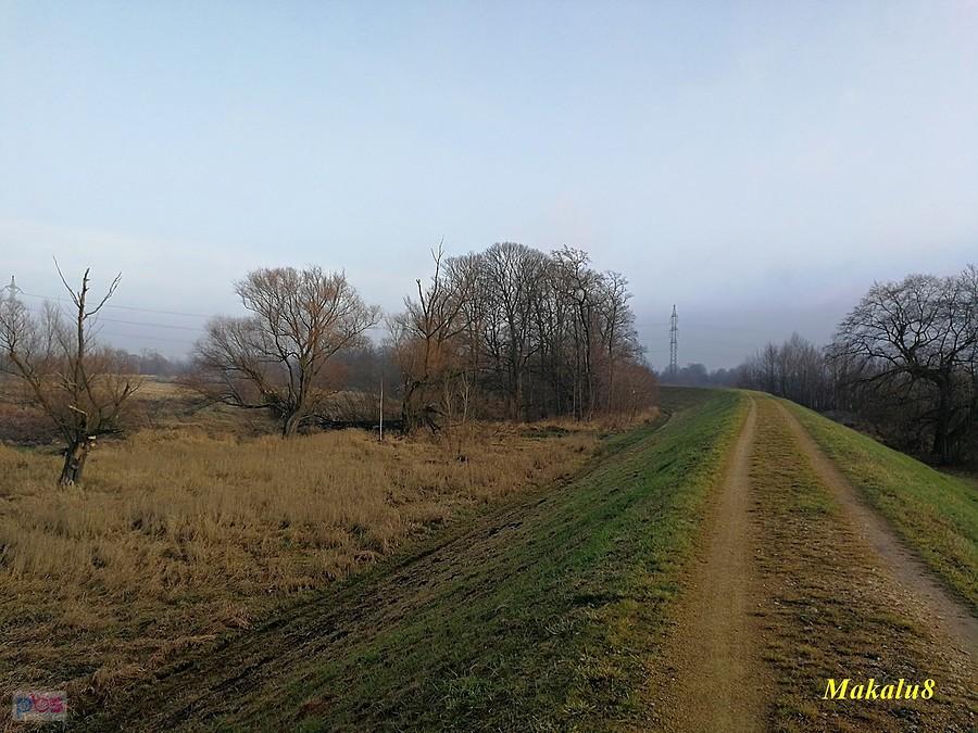 Wał wiślany w Bieruniu
