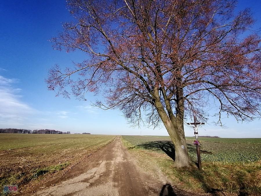 Polne klimaty okolic Zawady