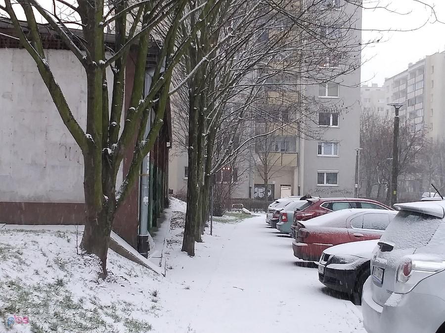 Wczoraj spadł pierwszy śnieg