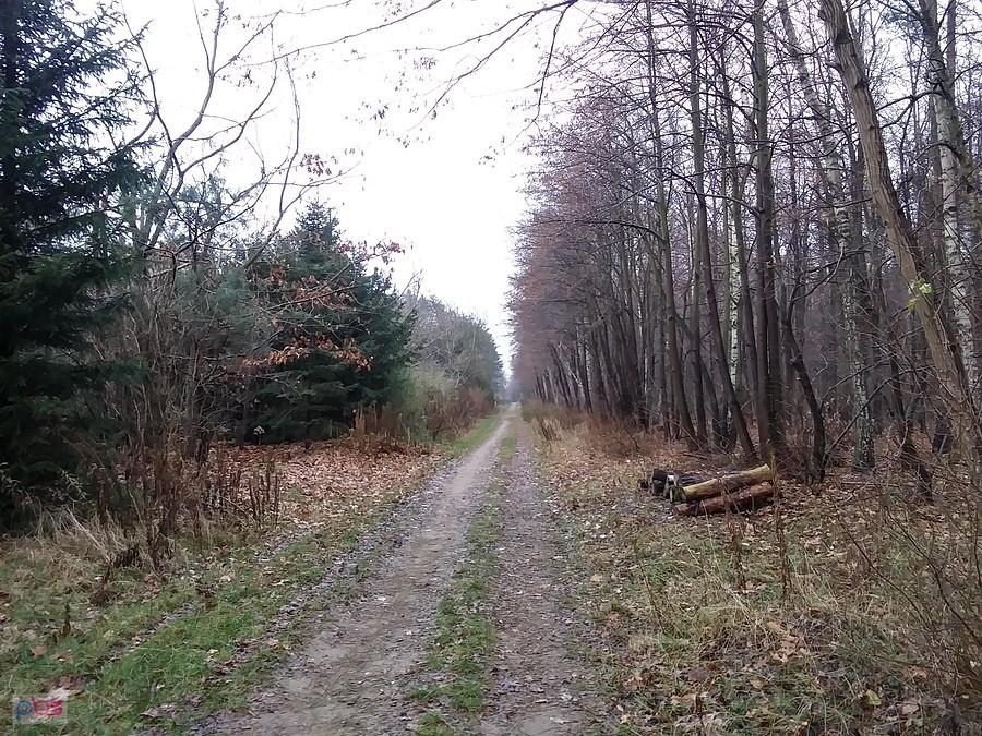 Można swobodnie pooddychać