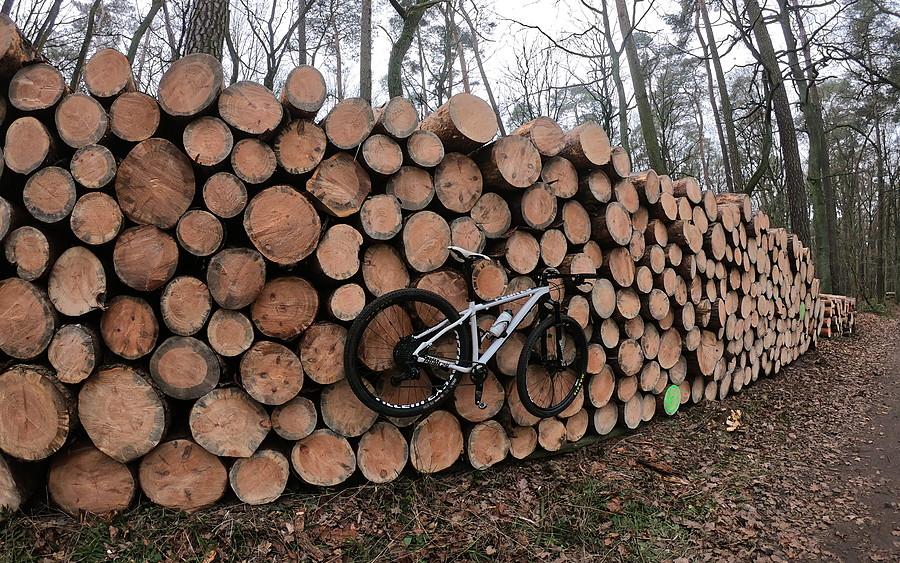 Wycinki już tyle widziałem, a ta posłużyła jako dobry wieszak na rower