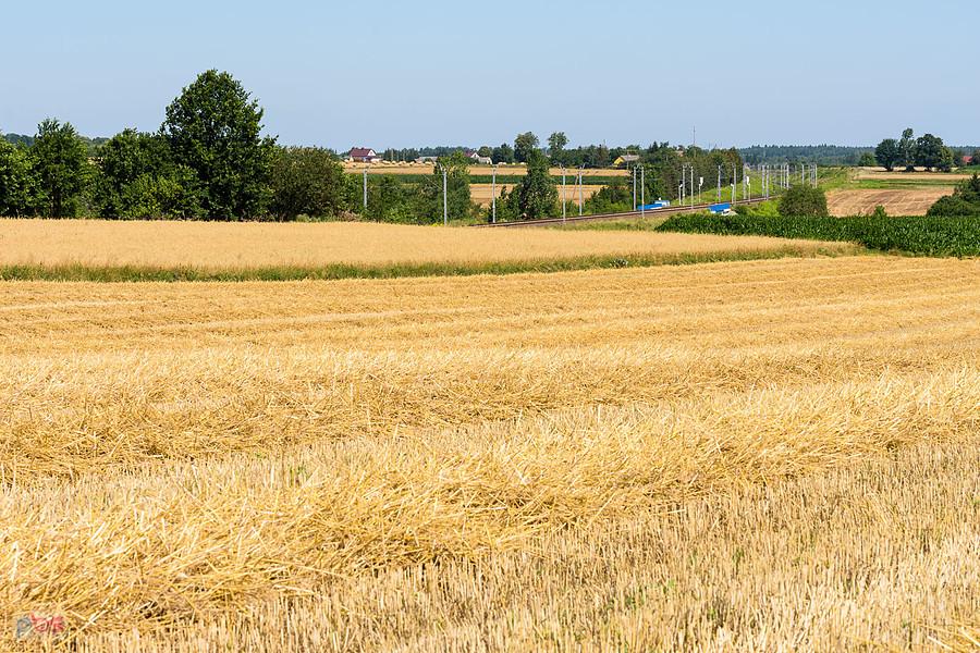 Pola we wsi Zawadka, w tle widoczne tory Centralnej Magistrali Kolejowej (linia D29-4, szlak Góra Włodowska - Psary)