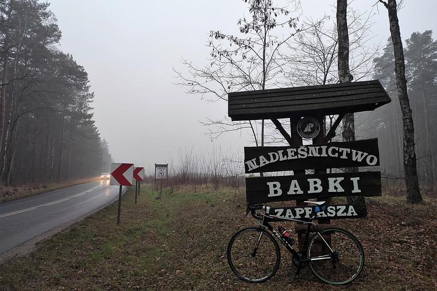 Nadleśnictwo Babki - symbol wycinkowej patologii