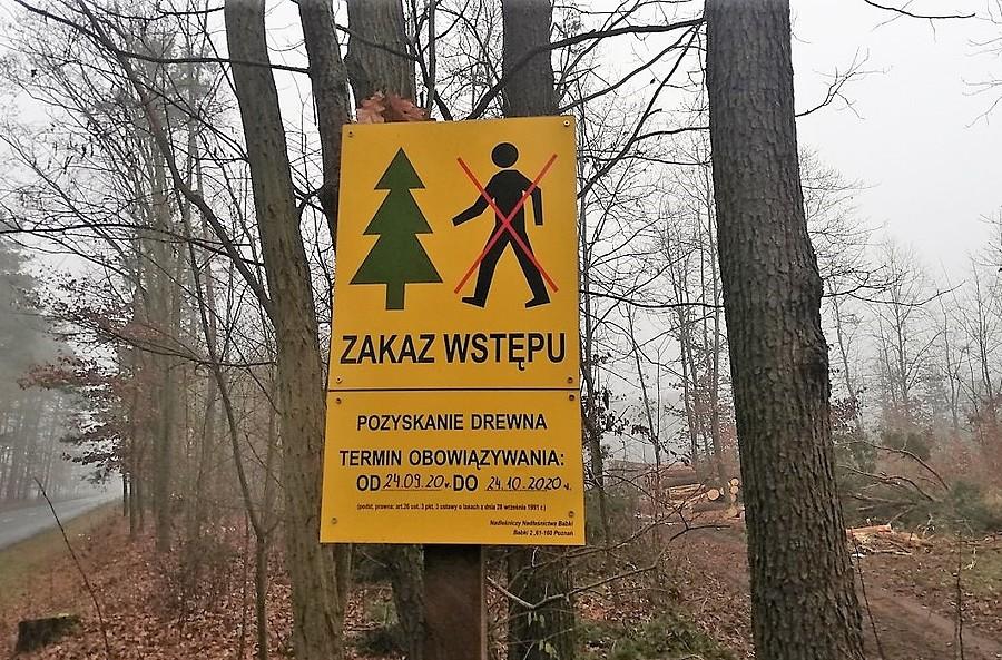 Lekka obsuwa. Widocznie ręce pełne rzeźniczej roboty