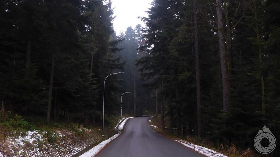 przez las nad Zagórze nad Barcicami