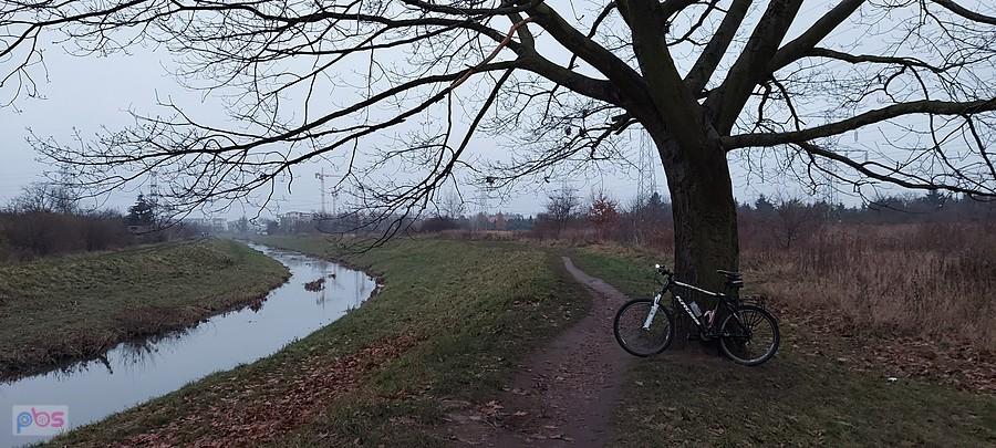 Głęboka jesień nad Ślęzą