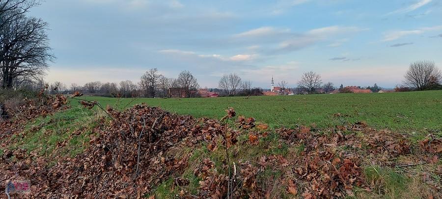 Jesienne aranżacje z kościołem w Mierczycach w tle