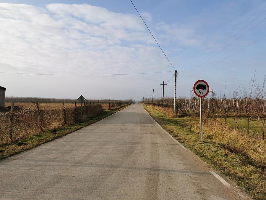 Droga pośród sadów w Suchodole
