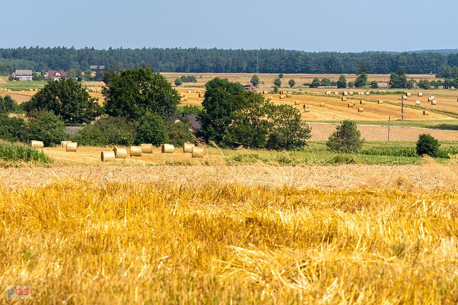 Zawadka - widok na północ