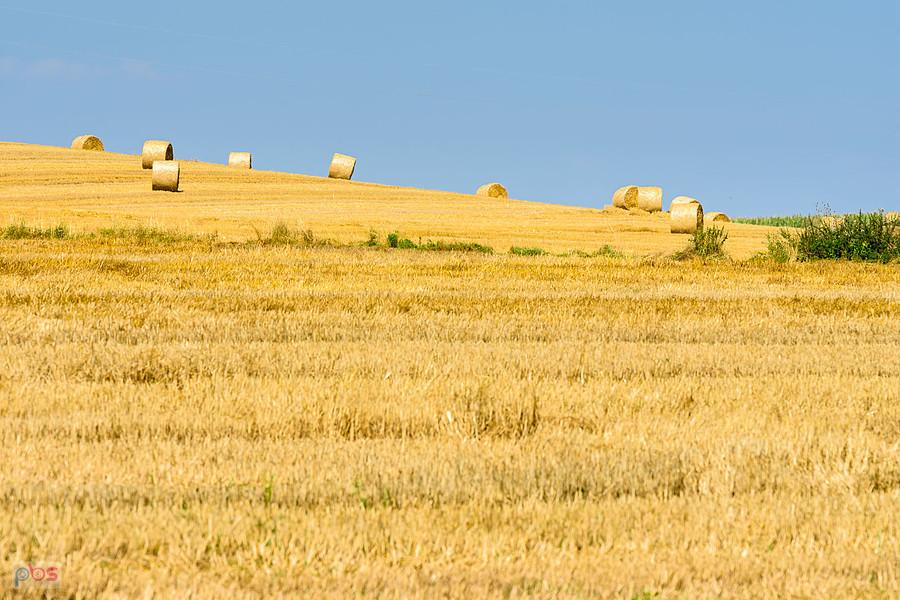Po żniwach - pola w Zawadce