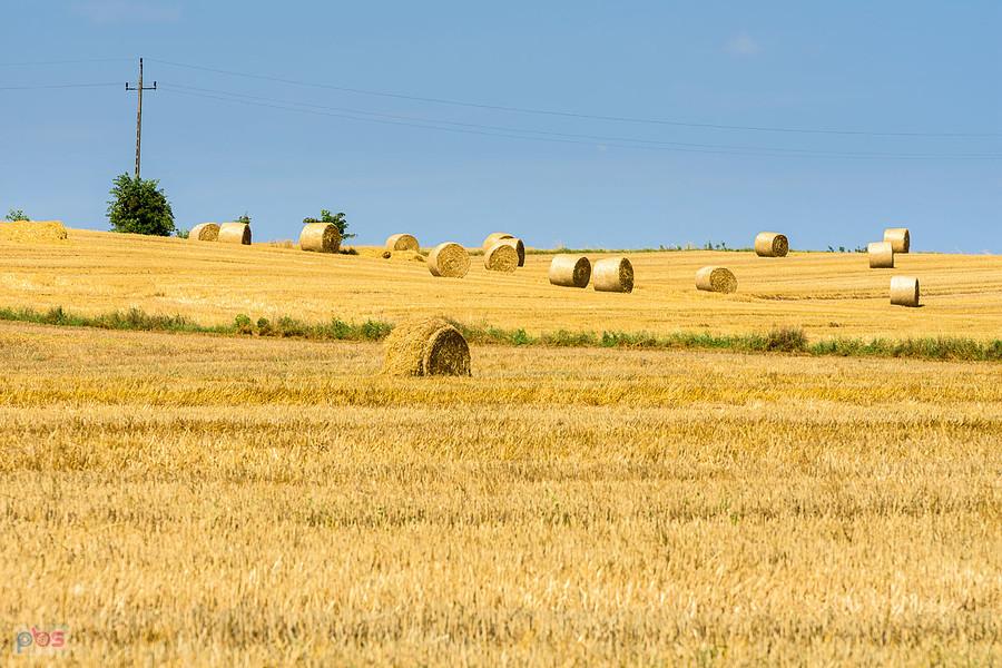 Po żniwach - pola w Zawadce