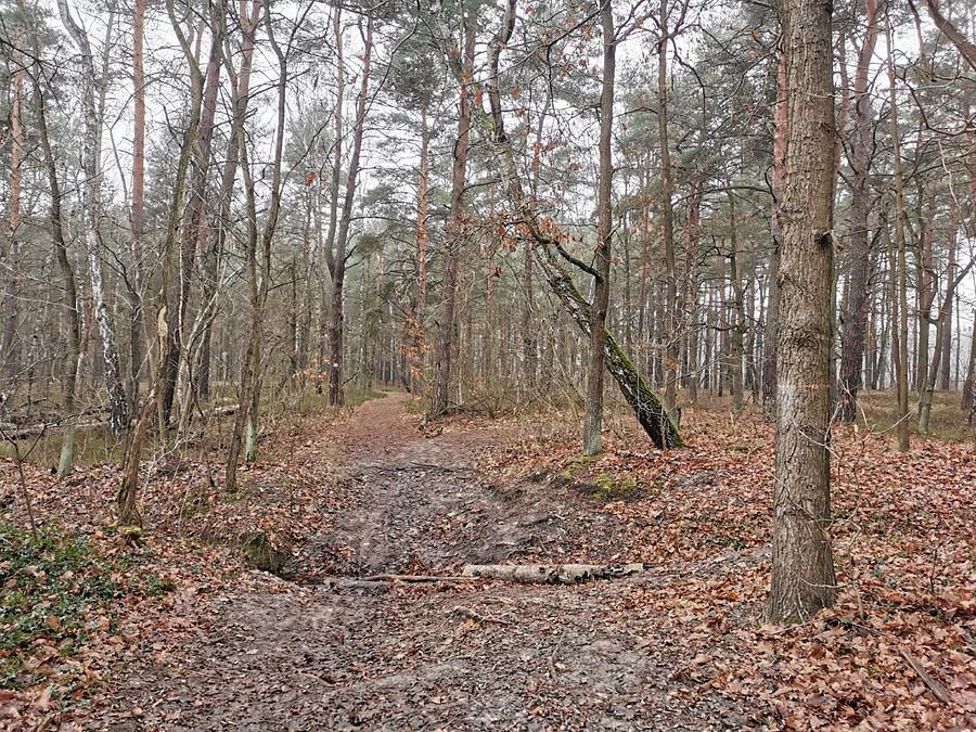 Przeszkoda terenowa