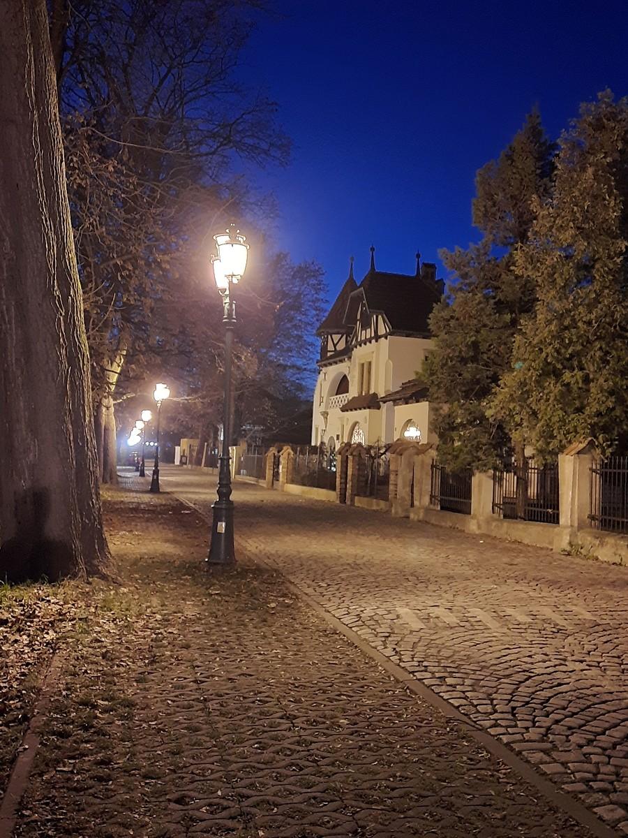 Aleja Pod Kasztanami.