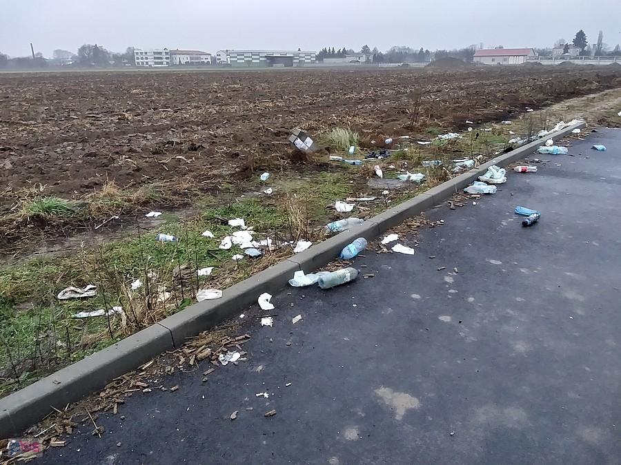 Ludzie to jednak świnie