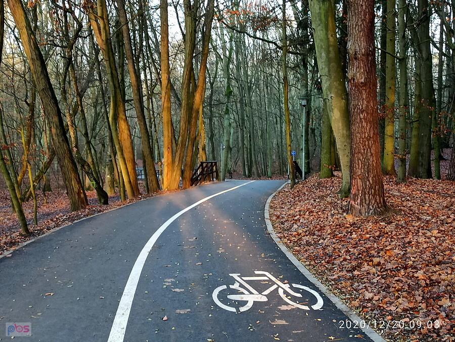 Ścieżka rowerowa wokół Goplany - pusta o poranku.