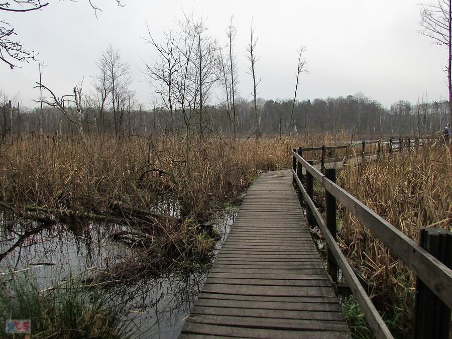 Kładka na pomost w rezerwacie Na Torfach