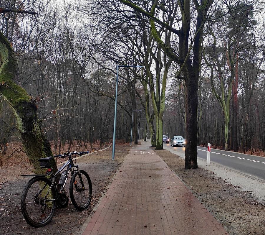 Kolejny szajs z terenów pozamiejskich, ale przynajmniej drzewa ocalały, Puszczykowo