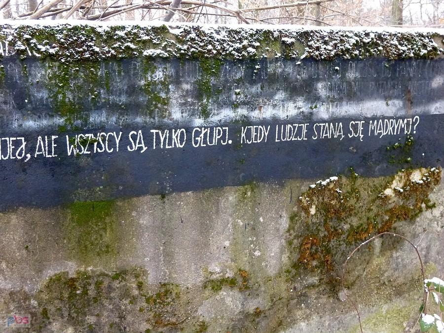 Każdy jest głupi?