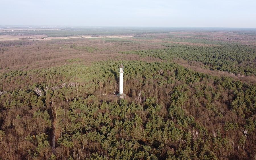 Wieża na Dziewiczej i Puszcza Zielonka z lotu ptaka