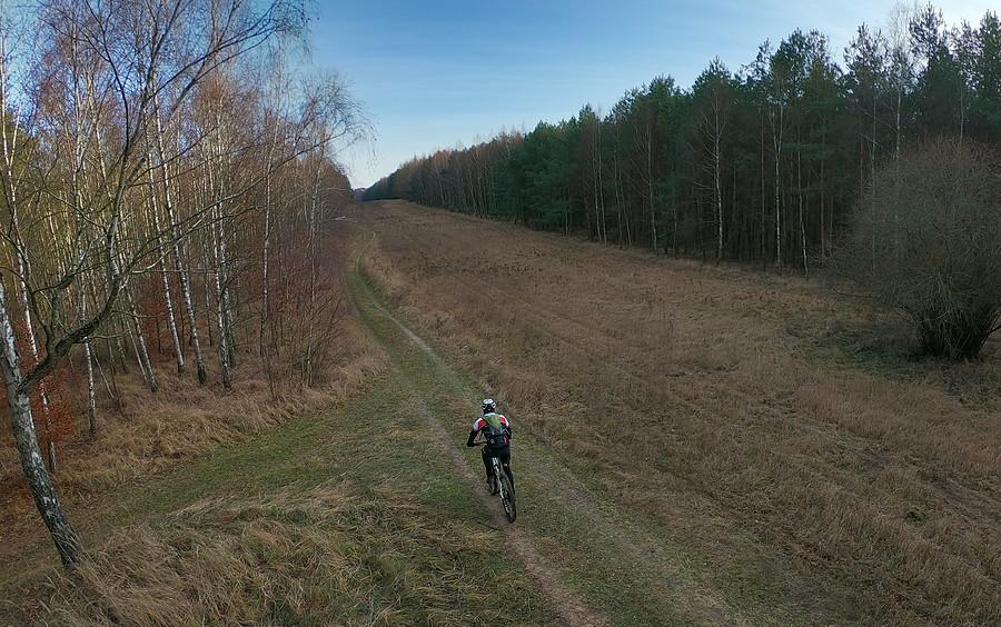Typowe i długodystansowe MTB w Puszczy Zielonce