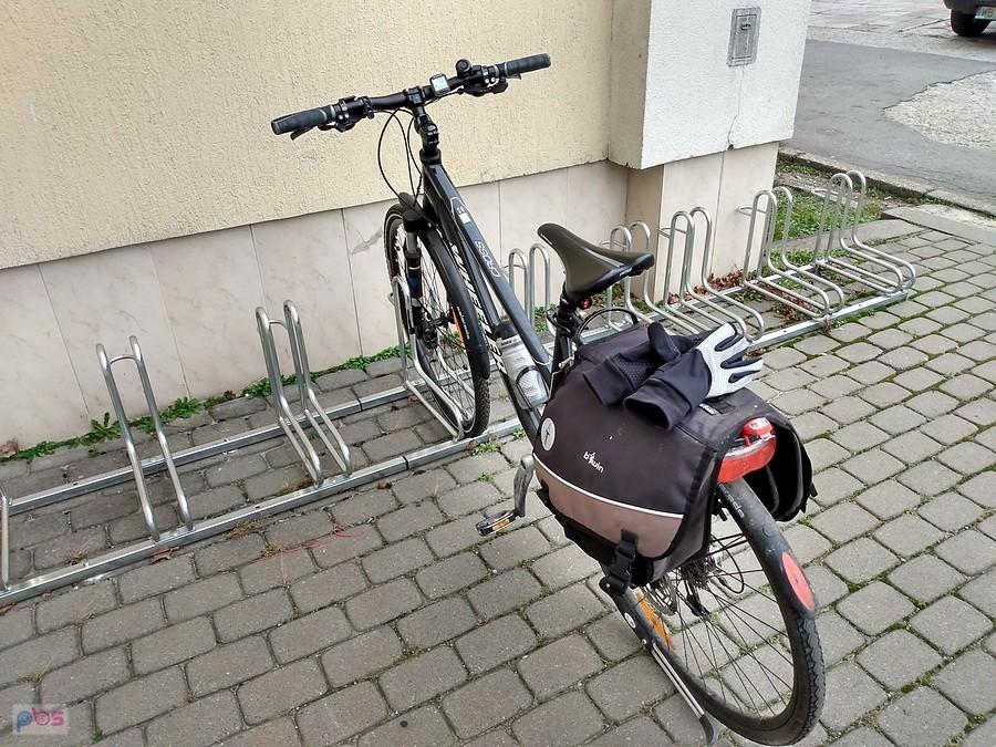 Czarnula dziś samotna na parkingu