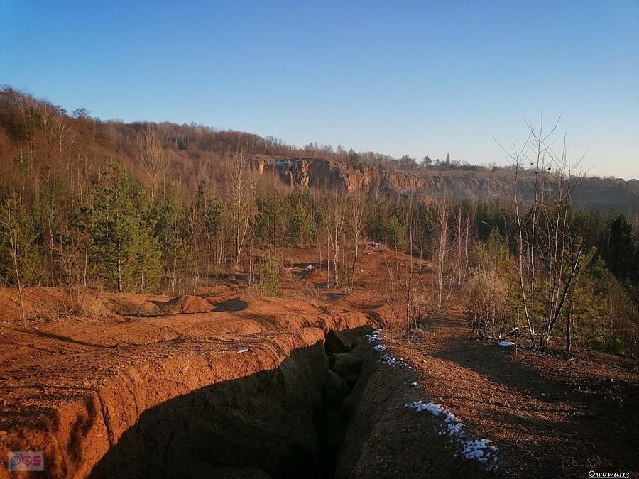 Dziki downhill