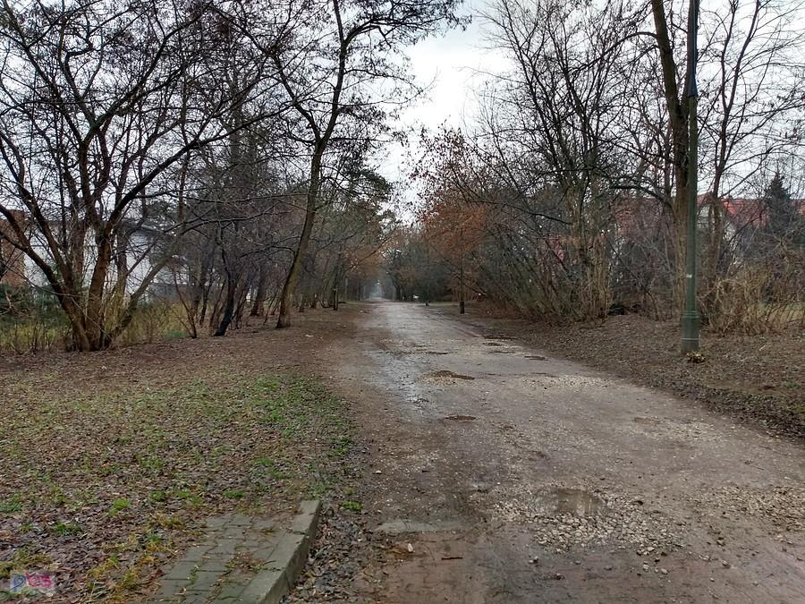 Ulica Kleeberga na Boernerowie