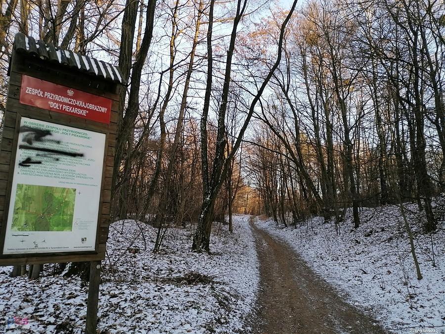 Doły Piekarskie