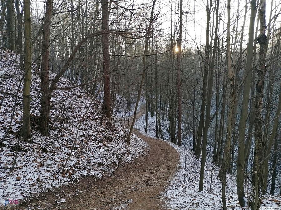 Suchogórski Labirynt Skalny