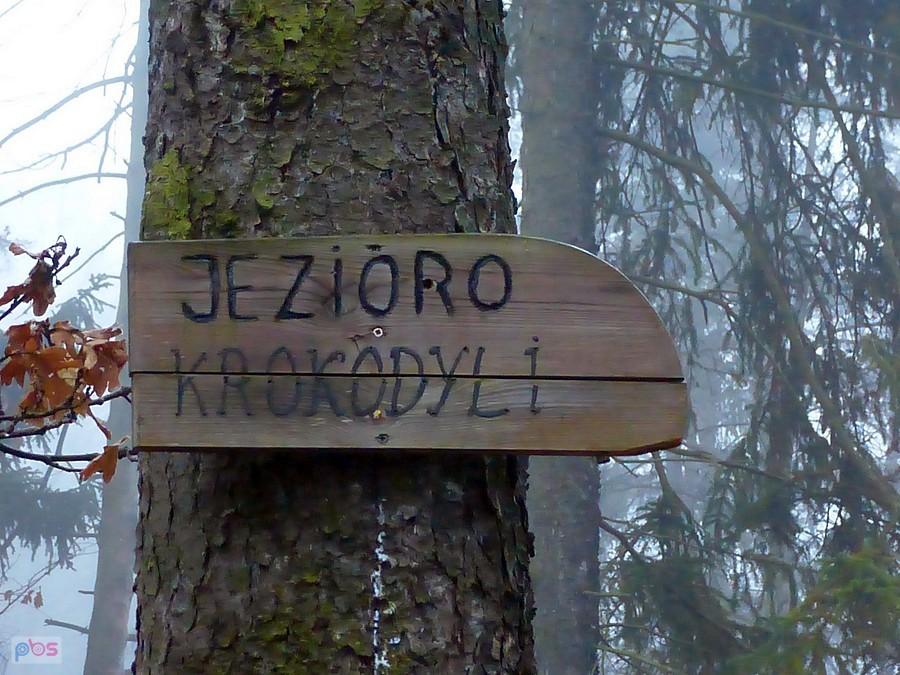 Jezioro krokodyli?
