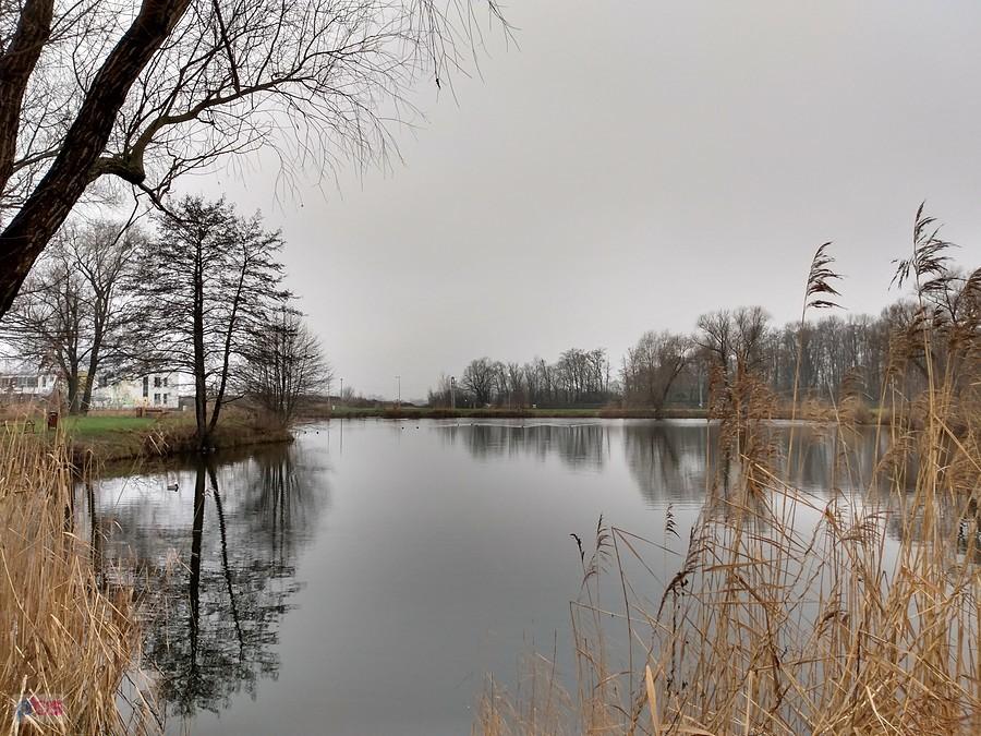 Staw w Zielonkach