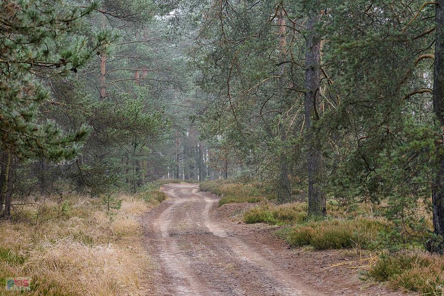 Droga za stacją Częstochowa Mirów