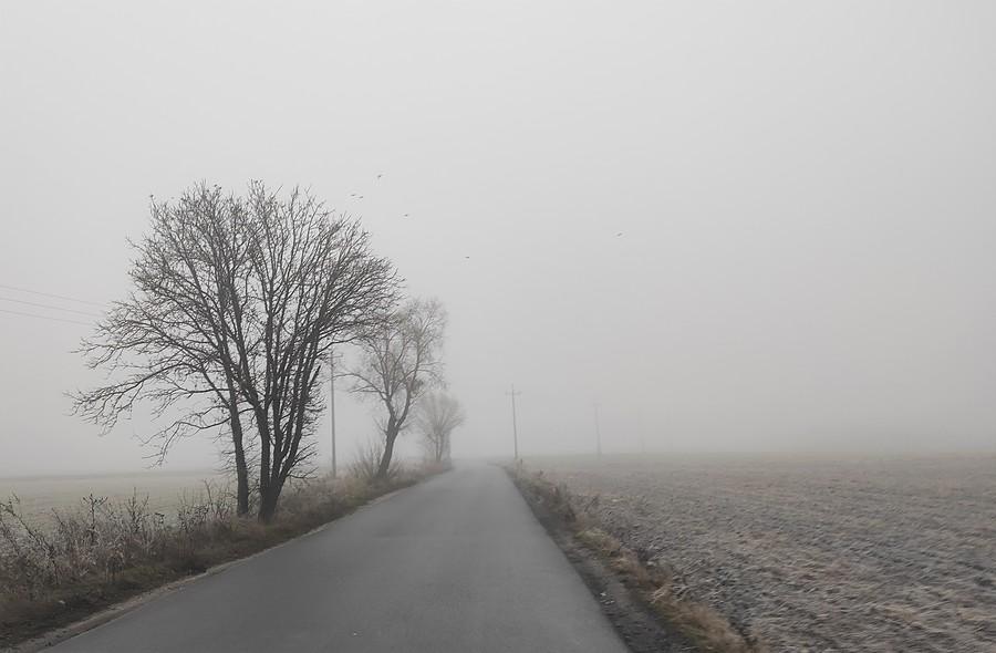 2021 rok w ujęciu pogodowym :)