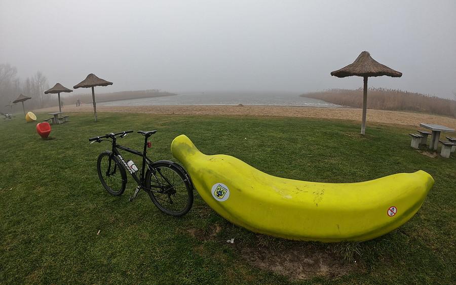 Owocowa plaża w Zborowie