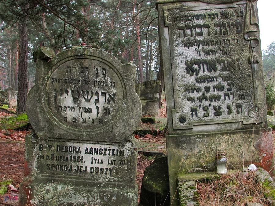 Na niektórych macewach są również inskypcje w języku polskim