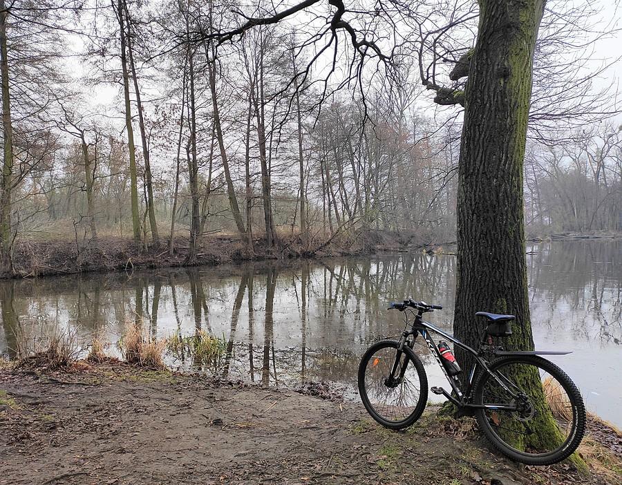 Latem tu bywa bardziej uroczo :), Dębina, Poznań