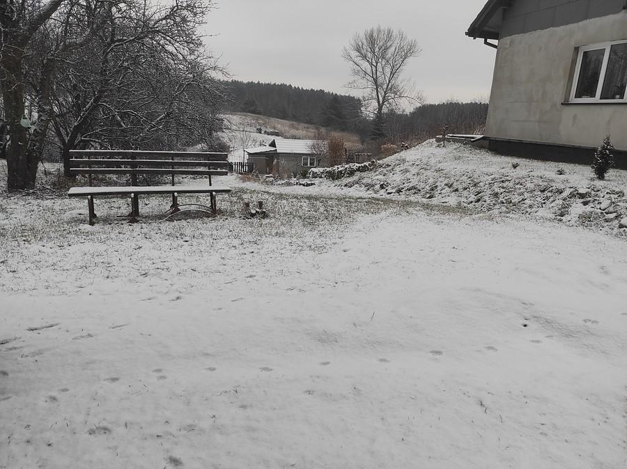Przysypało śnieżkiem