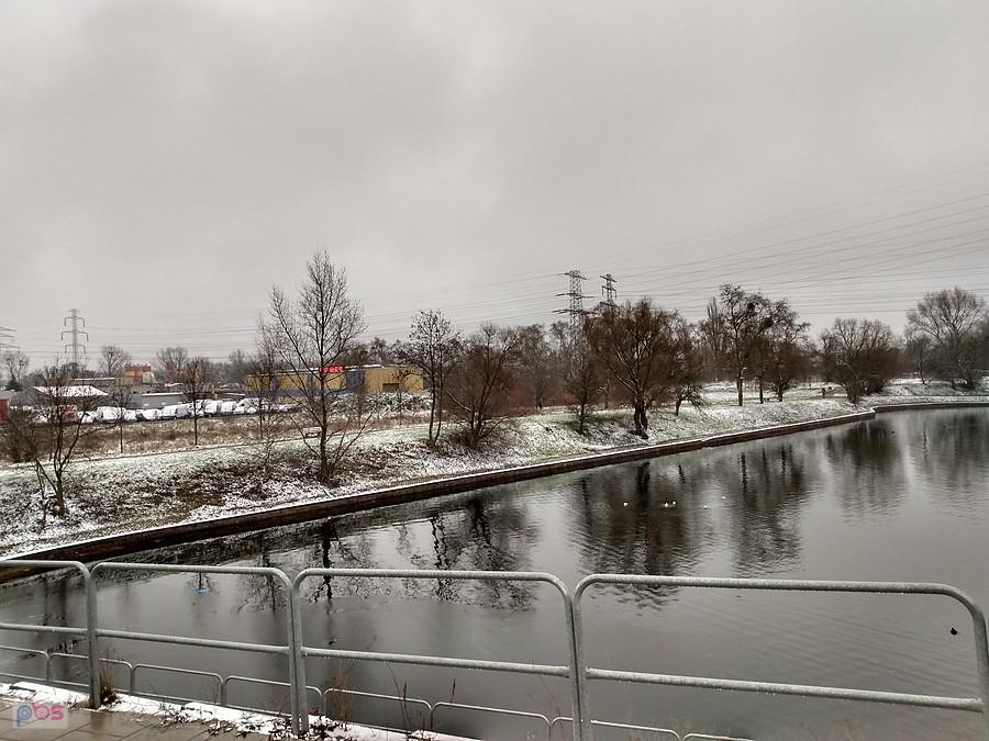 Oprószone trawy nad stawem