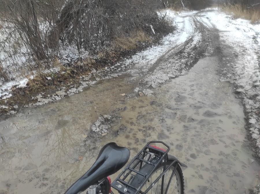 Lodowa niespodzianka