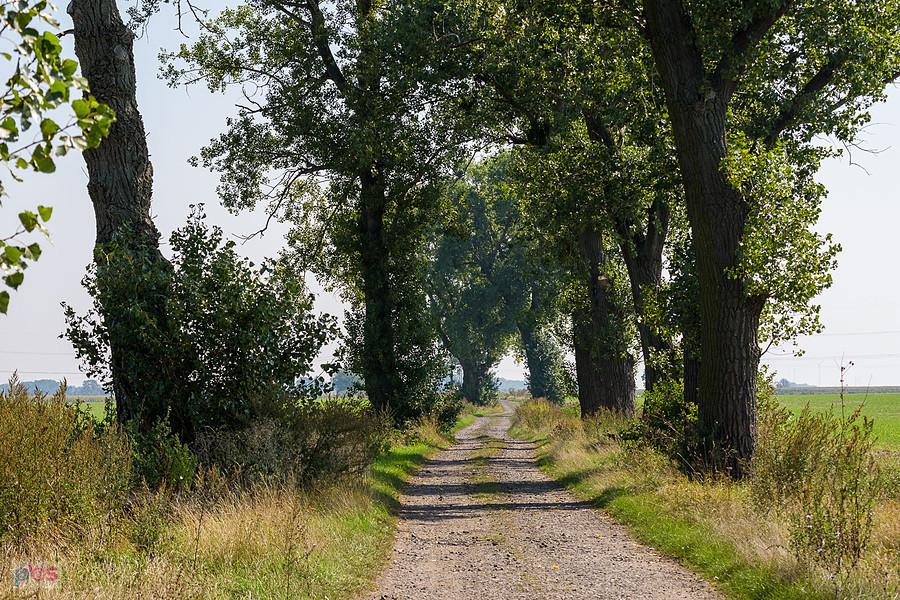Droga przez pola - Święta Katarzyna - ul. Nowa