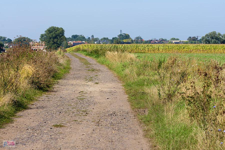 Święta Katarzyna - widok w kierunku Wrocławia