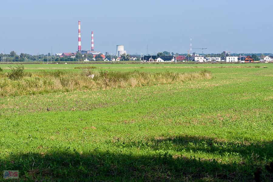 Święta Katarzyna - widok w kierunku Siechnic