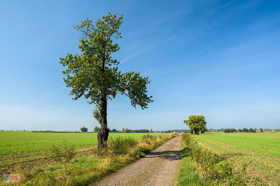 Święta Katarzyna - widok w kierunku Wrocławia