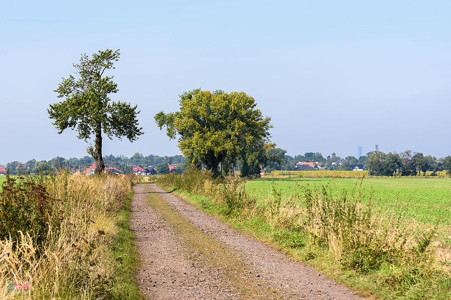 Święta Katarzyna - widok w kierunku Wrocławia - na horyzoncie widoczny wieżowiec Sky Tower