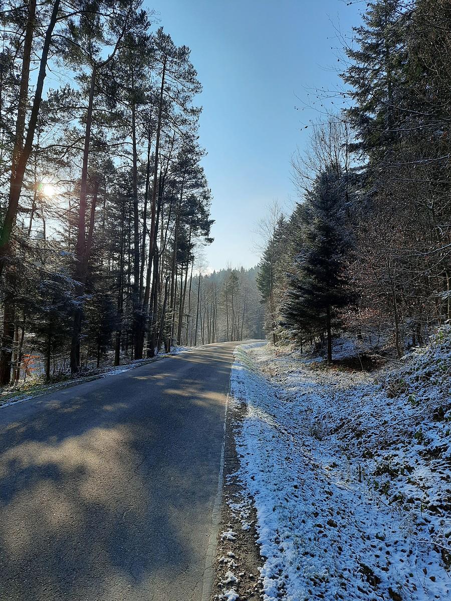 Słoneczny poranek.