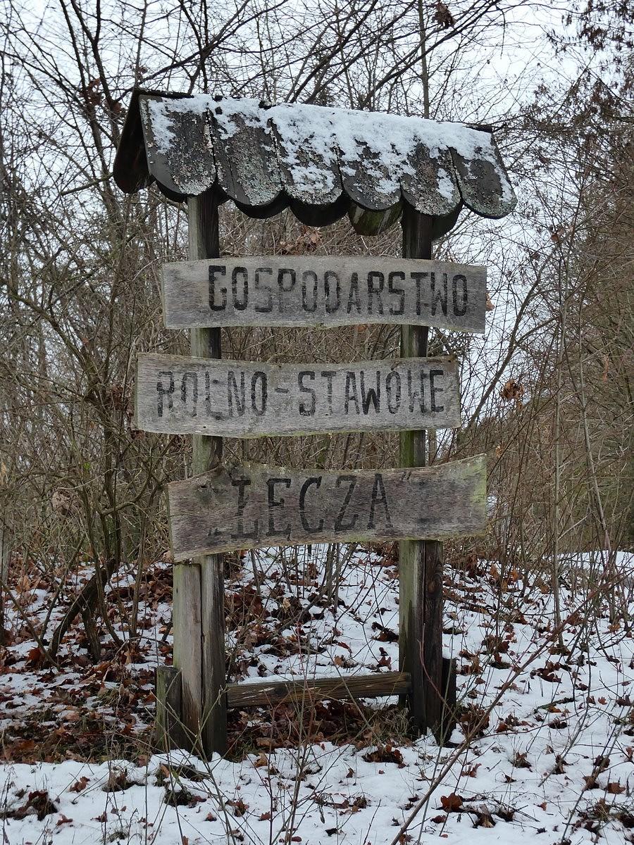 Gospodarstwo rolno-stawowe "Łęcza"