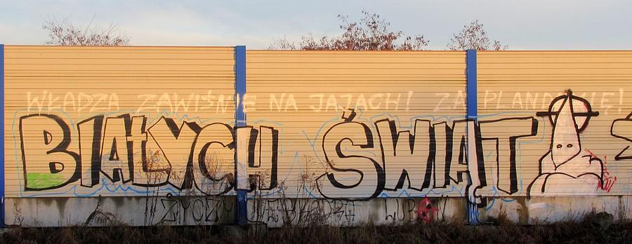 Takie coś powstaje, gdy się połączy naziolstwo z płaskoziemcami