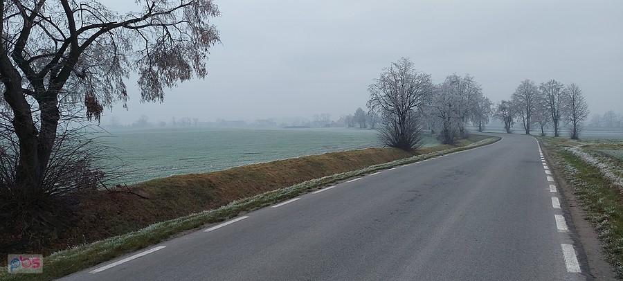 Szronawo i mgliście na drodze do Kuklic