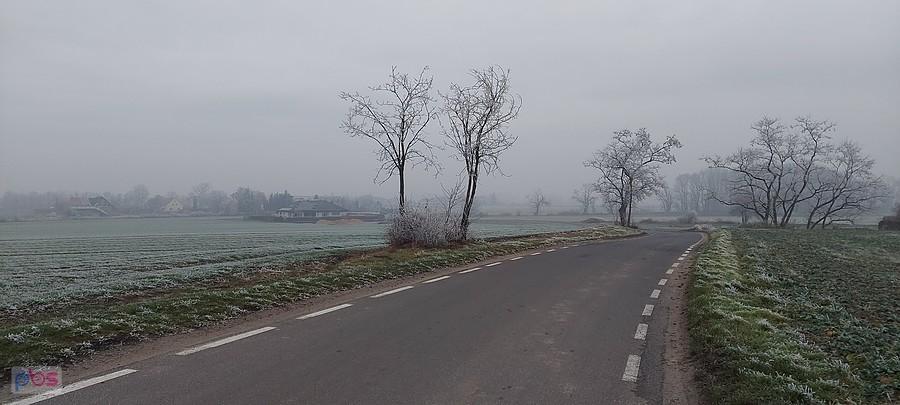 Szronawo i mgliście na Kuklickiej Górce