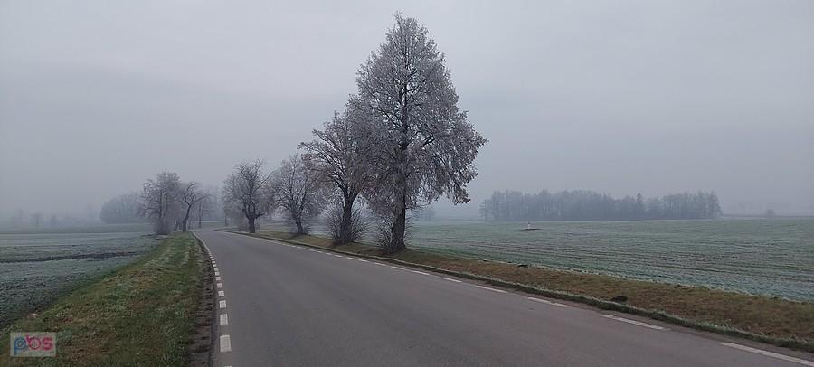 Szronawo i mgliście - ale pięknie !